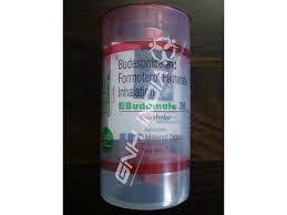 Inhaler errors in the critikal study: Budesonide And Formoterol Fumarate Inhalation Budamate