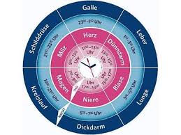 Trinken sie warmes wasser und machen sie ein sanftes training. Die Chinesische Organuhr Mit Atherischen Olen Von Doterra Pdf Kostenfreier Download