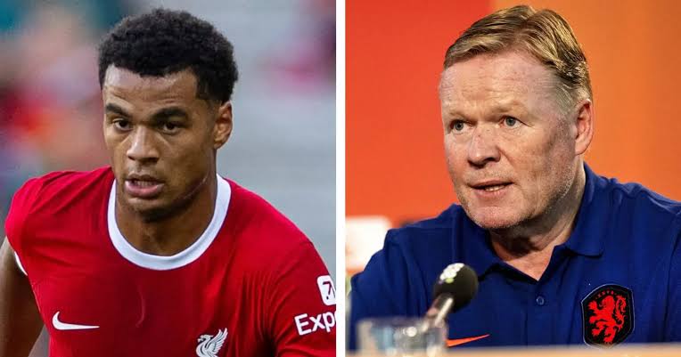 Dutch head coach Ronald Koeman blamed Cody Gakpo difficulties on  'struggling' Liverpool team - Football | Tribuna.com