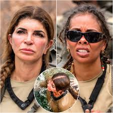 The 'Special Forces' season 4 premiere had Us wondering whether it was all  a fever dream after Teresa Giudice was coined the 'toilet whisperer'