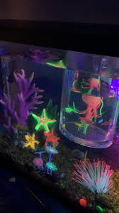 Glofish Aquarium Set Up Video Sea Decor Glow Crafts Aquarium Decorations