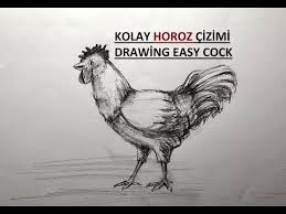 Resimci Abi Youtube 2020 Drawing Horoz Cizim