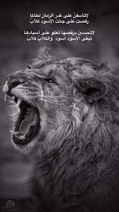 Pin By نوره عبد العزيز On جماليات Animals Lion