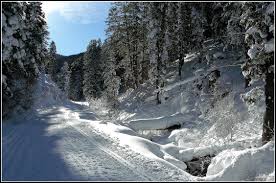 Check spelling or type a new query. Salt Lake City In Winter Scott S Place Images And Words