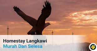 Langkawi homestay atau homestay di langkawi. 42 Homestay Langkawi Murah Dan Selesa C Letsgoholiday My