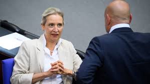 insa-politiker-ranking