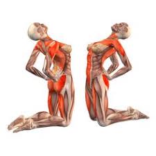 59 Healthy life ideas