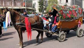 Oug 54/2016 trebuie să fie aplicată urgent în forma publicată în monitorul oficial fără nicio altă modificare · 04.10.2016 intervenția untrr, fort, apte 2002 … 6. Obligatoriu Rca Pentru Carute Ziarul Profit