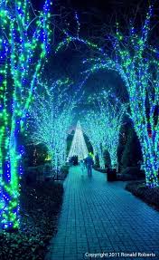 Holiday Walk Atlanta Botanical Garden Wow So Pretty Urlaub Weihnachten Urlaub Weihnachts Ferien