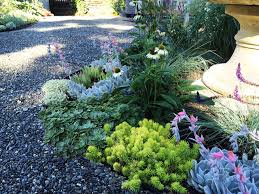 Maybe you would like to learn more about one of these? A Traditional Landscape Loses The Lawn Overgrown Shrubs To Low Water Plants Mediterran Garten San Francisco Von Dig Your Garden Landscape Design Houzz