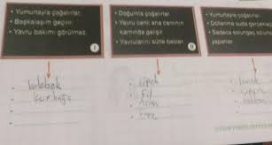 Merhaba Arkadslar Fen Odevimde Canli Dogurarak Cogalir Yumurta Ile Cogalir Yavru Bakimi Vardir Yavru Eodev Com