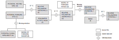 flow chart outlining the setup of the pollination model