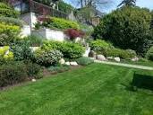Before The Worm Landscaping | Burnaby BC