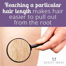 How long does it have to be? How Long Does Hair Have To Be To Wax