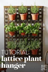 How To Make This Easy Lattice Wall Planter Wall Planters Outdoor Plant Wall Diy Lattice Garden