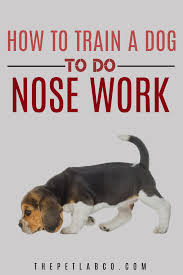 Keep Your Dog S Mind Engaged With This Military Training Method Dog Training Dog Minding Nose Work Dogs