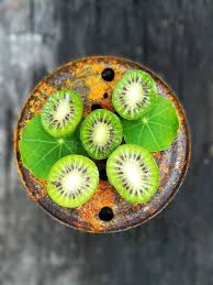 Image result for foto minikiwi