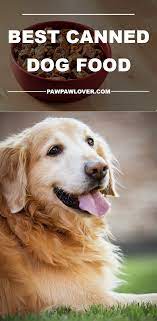 10 Best Dog Food Brands Dry Canned 2021 Dog Food Reviews Dog Training Best Dog Food Training Your Dog