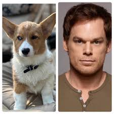 Join the Challenge “ You have to Publish a Photo of your Dog and another  Picture, suggesting their Name. Just that and nothing else. People then  have to try to guess what