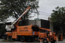 Get free wood chips it is important that all requesters read our terms and how it works pages before signing up for wood delivery. Pros And Cons Of Using Woodchips In Place Of Gravel Frugality Forum At Permies