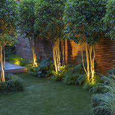 Evening Garden Garden Club London London Garden Backyard Landscaping Small Garden Design