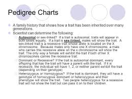 Genetics Gregor Mendel Ppt Video Online Download