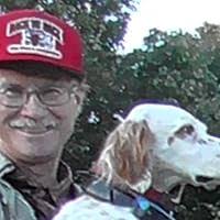 Algonquin by Dion Henderson