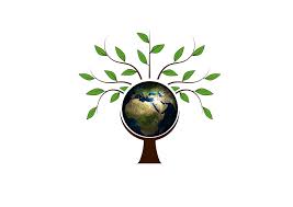 We can hook you up. Tree Branches Trunk Free Image On Pixabay