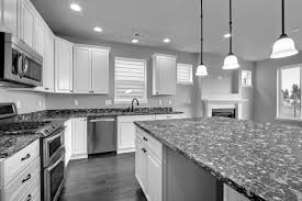 And that's where black kitchen countertops come into the picture. Grey Kitchen Cabinets Black Countertop Novocom Top