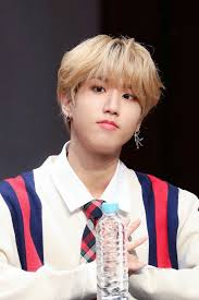 Pin De Ana Em Stray Kids Cantores K Pop Esquilo Bebe