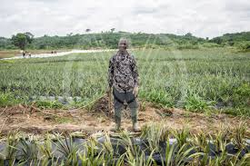 FAO Digital Media Hub