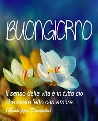 Le Migliori Immagini Di Amore Immagini Romantiche Le Foto L Amore Le Immagini Whatsapp Per Le Immagini Sarcasmo Italian Phrases Italian Memes Good Morning