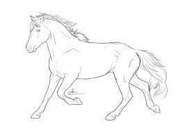 Horse coloring pages for adults celtic. Adult Coloring Horses