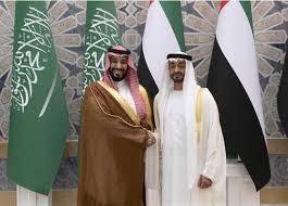 في هذا السياق، استنكر محللون أن يقوم فاسد بمحاسبة فاسدين آخرين، في إشارةٍ إلى ولي العهد محمد بن سلمان، وهو ما علّق عليه الكاتب والمحلل السياسي الفلسطيني شاكر زلوم، بقوله إن ابن سلمان سرق. ØªÙØ§ØµÙŠÙ„ Ù„Ù‚Ø§Ø¡ Ù…Ø­Ù…Ø¯ Ø¨Ù† Ø²Ø§ÙŠØ¯ ÙˆÙˆÙ„ÙŠ Ø§Ù„Ø¹Ù‡Ø¯ Ø§Ù„Ø³Ø¹ÙˆØ¯ÙŠ Ø§Ù„Ù…ØµØ±ÙŠ Ø§Ù„ÙŠÙˆÙ…