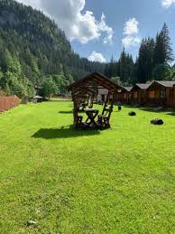 Vila cu doua nivele are 8 camere duble cu. Casutele Suhardul Mic In Lacul Rosu Rumanien 200 Bewertungen Preise Planet Of Hotels