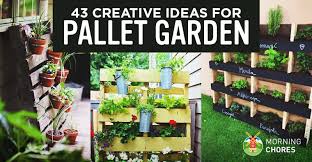 When the temperature is 60 degrees and up, start planting pole beans from seeds in a large bag or the ground near your pallet stand. 43 Gorgeous Diy Pallet Garden Ideas To Upcycle Your Wooden Pallets