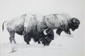 Pin By Adam Brosz On Tattoos Buffalo Art Bison Tattoo Bison Artwork