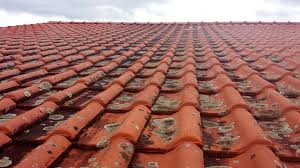 Lichen On Tile Roof Roof Shingling Aging Signs