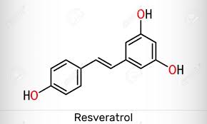 Resveratrol, Molécula Trans-resveratrol. Es Estilbenoide, Fenol Natural,  Fitoalexina, Antioxidante. Fórmula Química Estructural. Ilustración  Vectorial Ilustraciones svg, vectoriales, clip art vectorizado libre de  derechos. Image 146876667