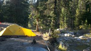 We did not find results for: Lodgepole Campsite Sequoia National Park Wine Quill