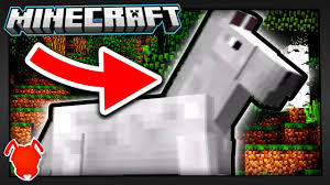 When ridden, they are able to move faster and jump higher than a normal player. Solving The Best Horse Minecraft Mystery Youtube