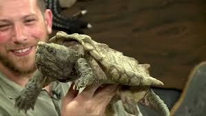 Craz-zy Critters with Joe Kenney Episode 4; Snapping Turtles & Red eared  slider