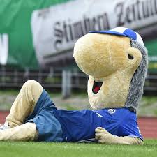 Ich will jetzt nicht alles auf den. Fc Schalke 04 Maskottchen Erwin Nach Sommerpause Mit Neuem Look