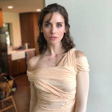 Alison brie nude fakes