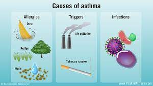 Causes Of Asthma Asthma Has Many Possible Causes Including Allergies To Substances Such As Dust Pollen And Mo Asthma Severe Understanding