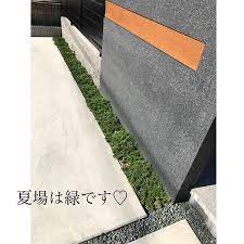 みそこさんはinstagramを利用しています こんばんは 少し前にストーリーで芝桜を流したら 結構反響あったのでpostにしました 門柱前のスペースに間隔をあけて植えた芝桜は 1年経ったらふわふわのお花の絨毯になりました 1年前植えた直後は ジョウロで水やってまし