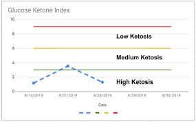 Keto Mojo The Glucose Ketone Index Andys Cancer Journey