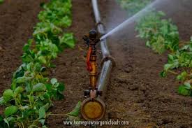 Everything you need to irrigate a small garden in if gardening is your passion and you know very well how to control irrigation by manipulating a water. Best Irrigation Systems For Vegetable Gardening Homegrown Organic Foods