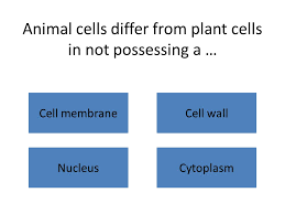 Check spelling or type a new query. Leaving Certificate Biology Cell Structure Function 1 Iquiz Second Press The F5 Key To Begin Then Click On This Blue Box First In Powerpoint 2007 If Ppt Download