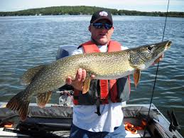 ᐅ Pigeon Lake Fishing Reports🎣• Alberta, Canada Fishing